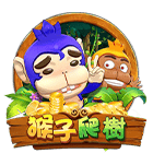 猴子爬樹