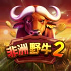 非洲水牛2
